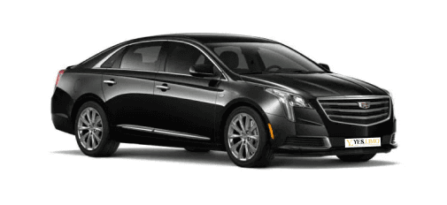 Luxury Sedan - Premium sedan for understated elegance